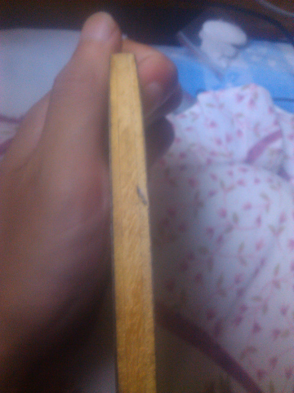 ���л�������һ�ѣ�Fl����91g�ƽ�������Ҫ���ٶ�Χ�ۣ���