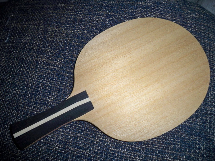 ͦ�α���AURUS-T