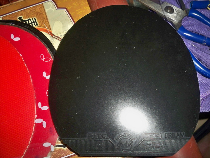 ͦ�α���AURUS-T