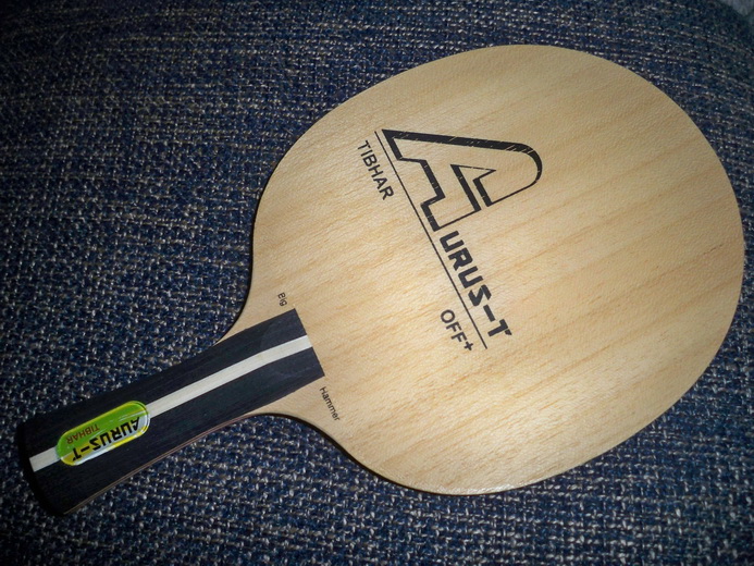 ͦ�α���AURUS-T