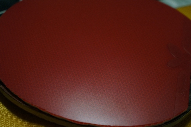 ɫôһһڸһ飬450