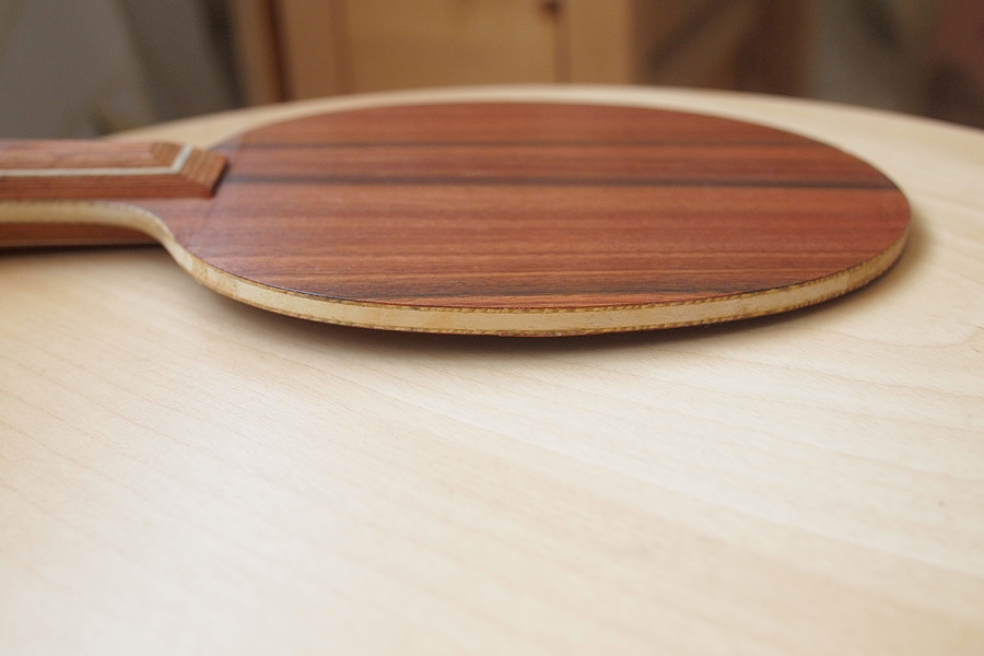 �����������ģ���õ��5��ŷ�棬450����