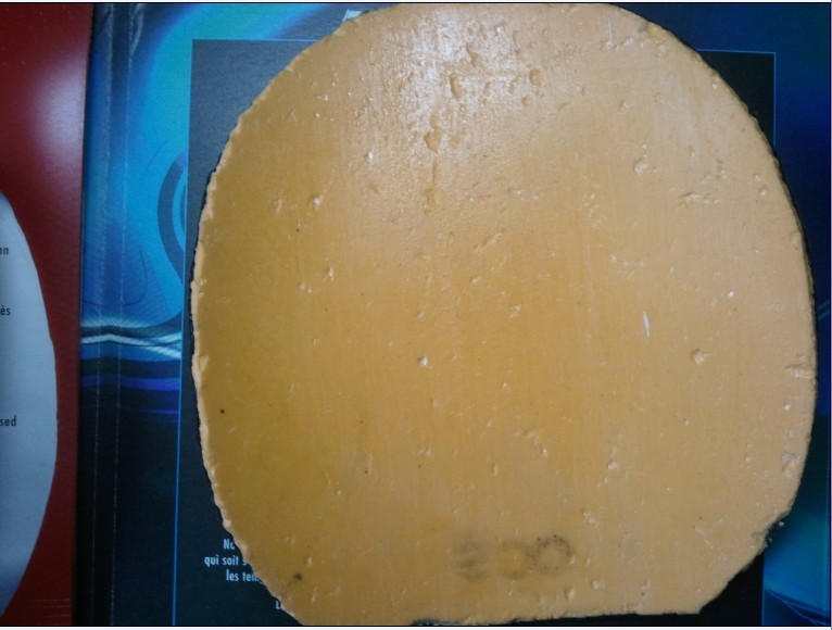 ���Ե���cc5+ti5.4wrb+�ò�2�ɳ��ɻ�.0֧��������~������ͼ