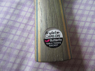 ���ѳ�һ���л�������20060,�����ã�����F1+��������)8�£�450���죬��ϸ��ͼ��֧������ȫ���ס�������������������������