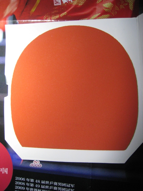 ��������ɫt05