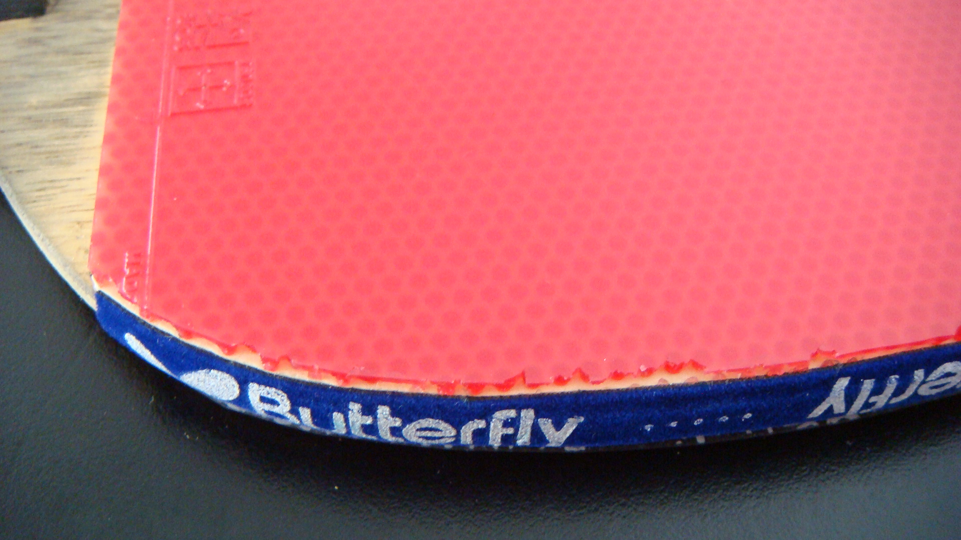 ��8.8���½��ʹ�Z ��̤