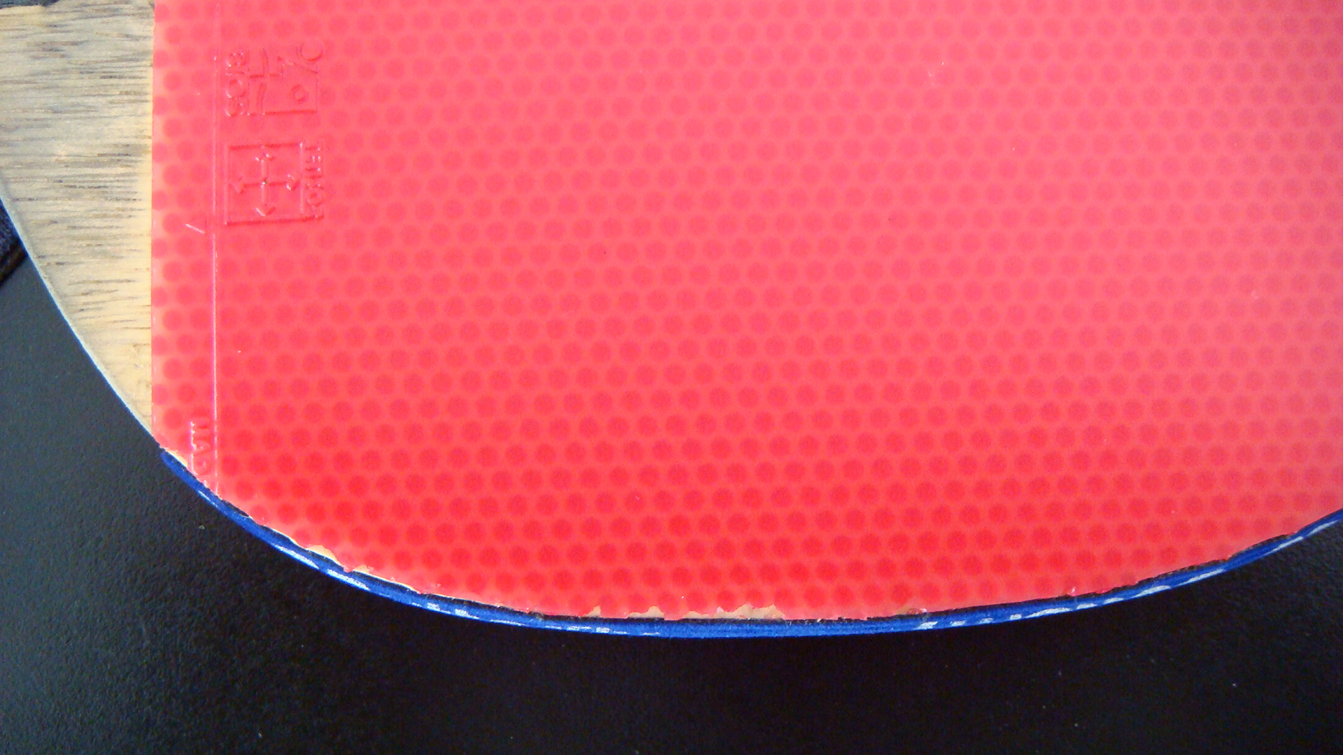 ��8.8���½��ʹ�Z ��̤