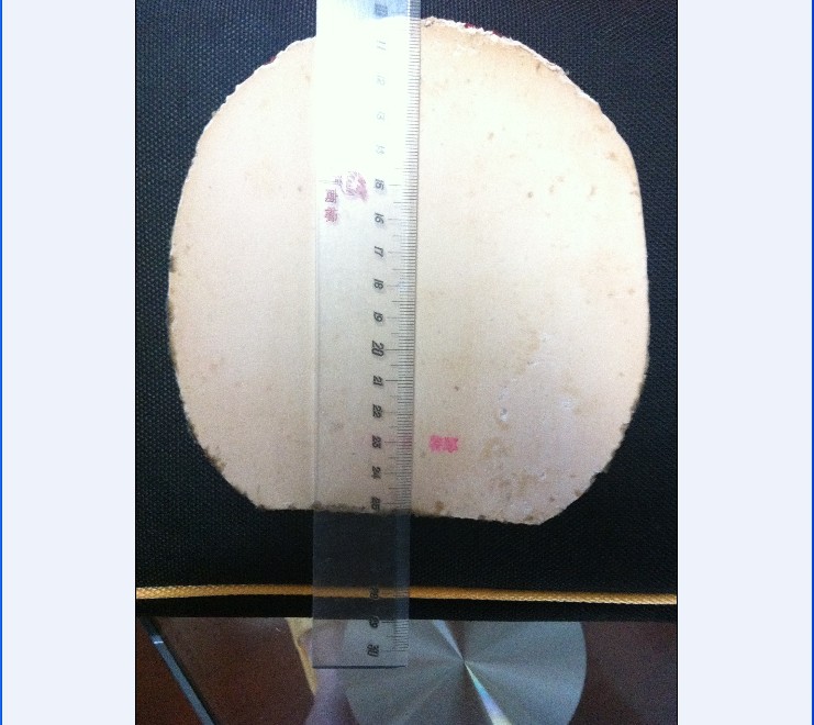 ��4������~~~ T05��HAMMOND��HAMMOND a��sriver