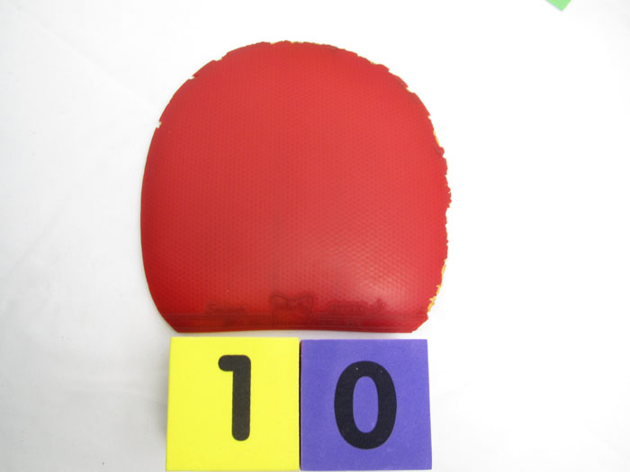 �������ֽ� SRIVER EL