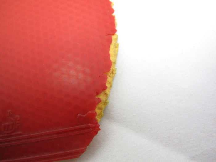 �������ֽ� SRIVER EL