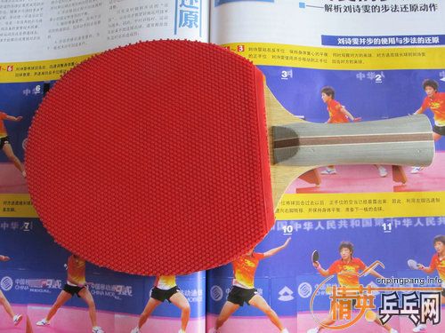 ����ά�� �� ��˫���׽� 100Ԫ