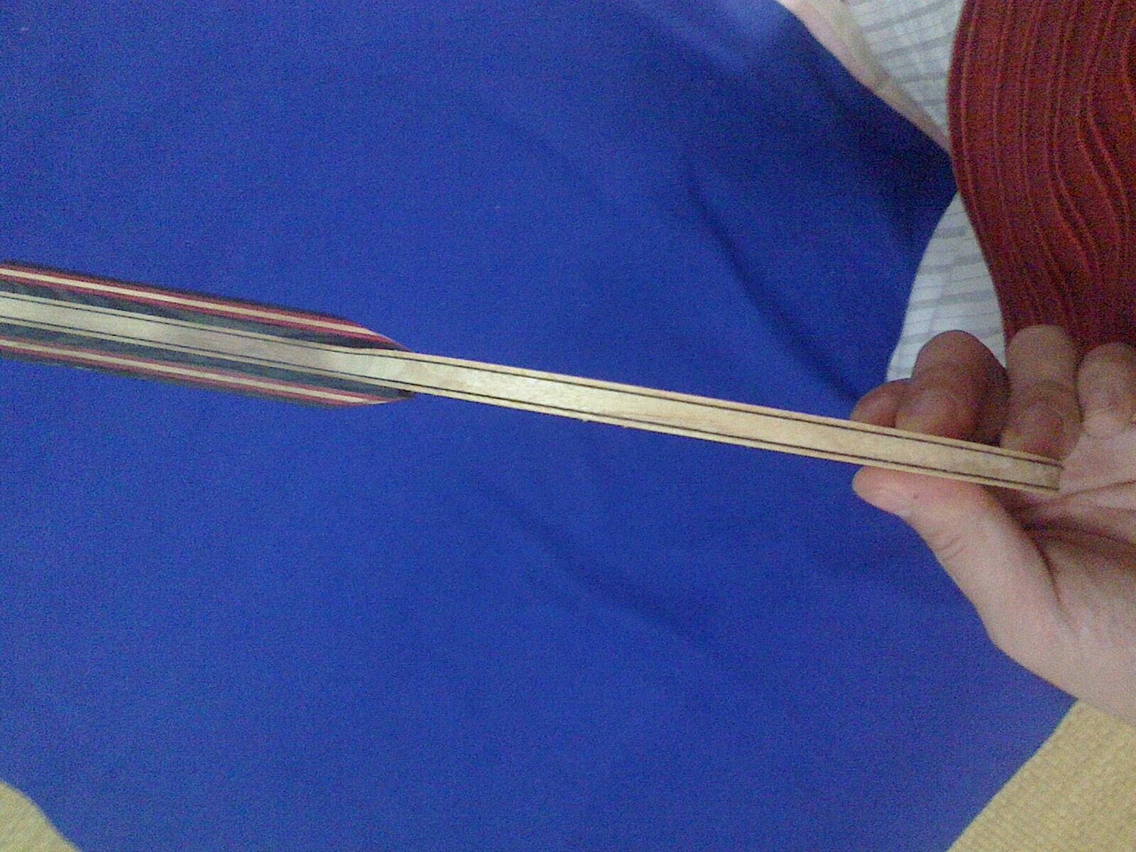 ����������ε�ʩ̼