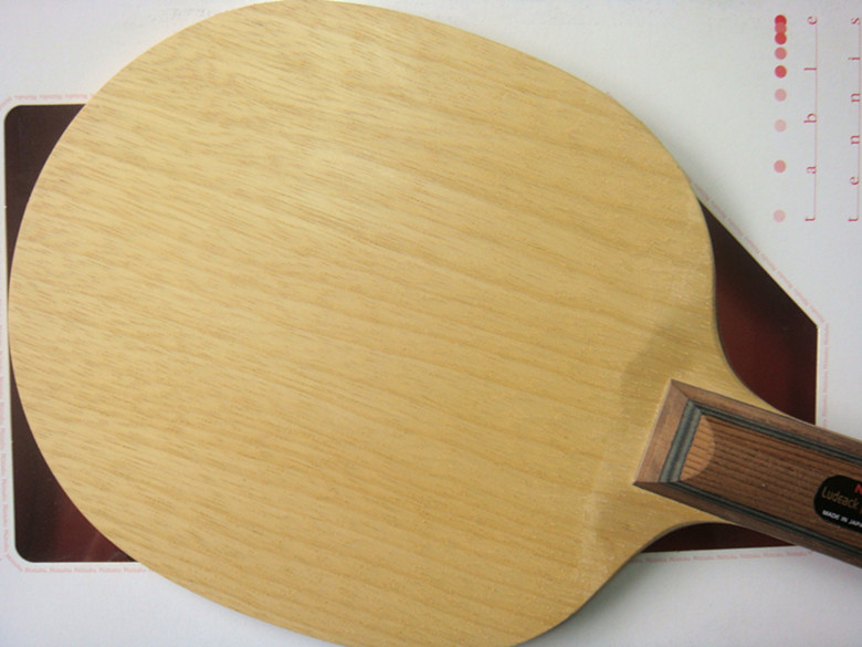 �°����ִ���һֻ����ɫ�ѣ�