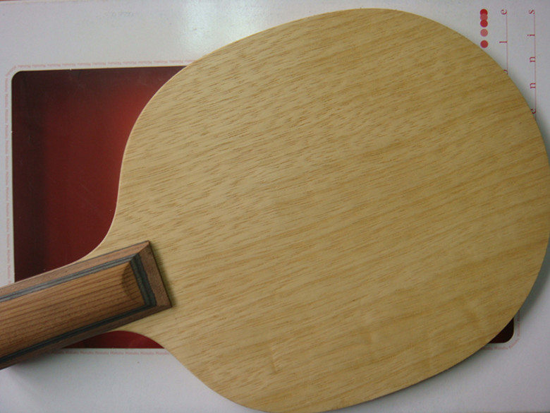 �°����ִ���һֻ����ɫ�ѣ�