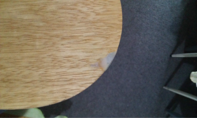 �������ð���