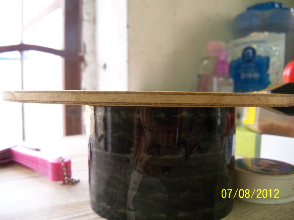 �����ְ��հ�YEO ������ľ����