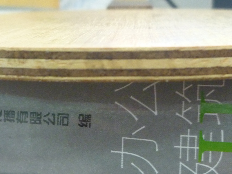 ���������ִ���