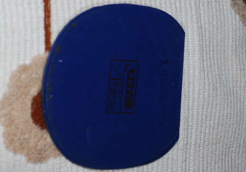 ������ʡ��95��+98��viva-fl����