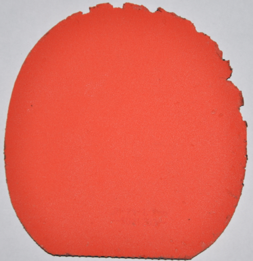 T05 ��ɫ�� �����