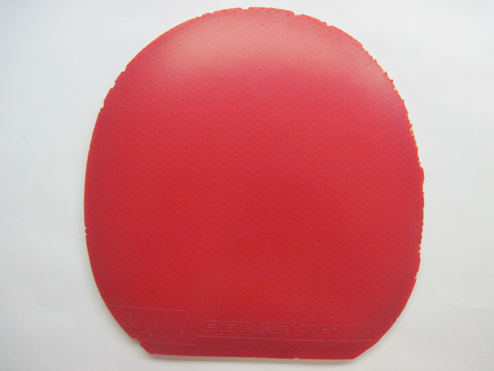 ����X1��38��39�Ⱥ�ɫʡ��3