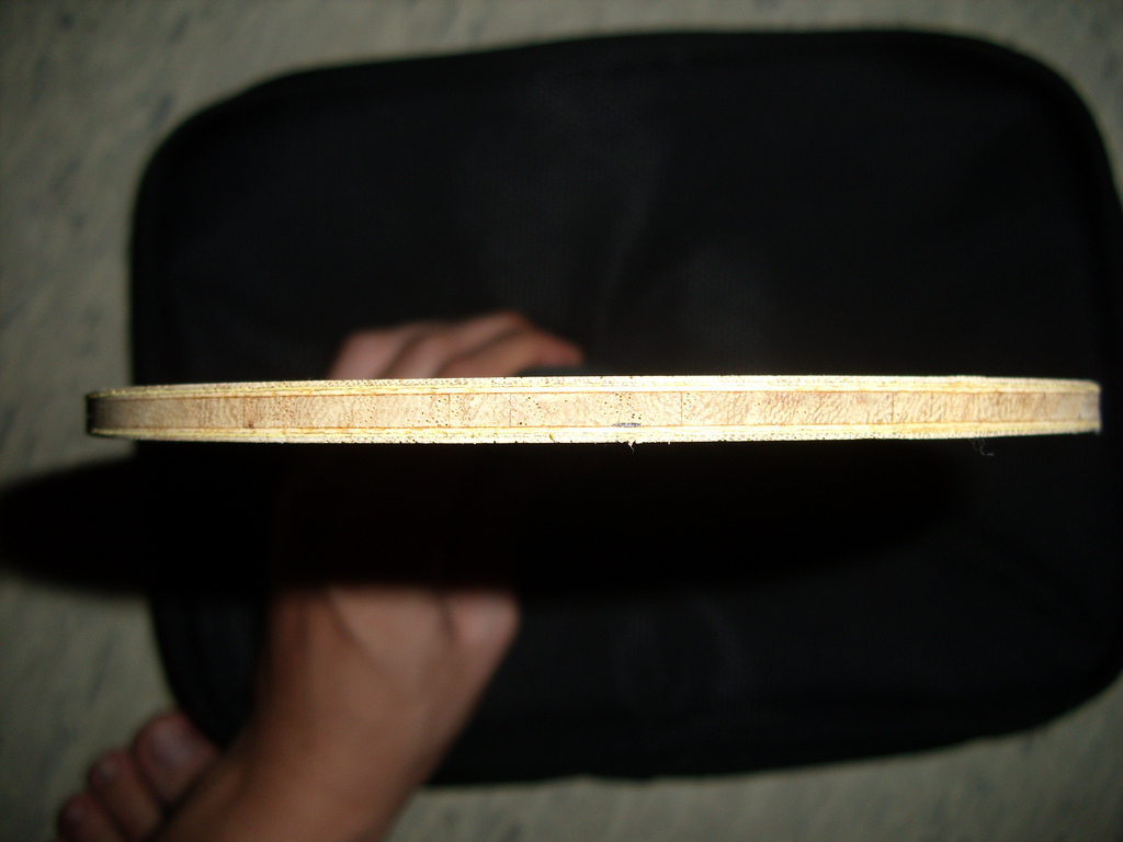 [ѳ]Timo Boll ZLF ST-->qupiterת