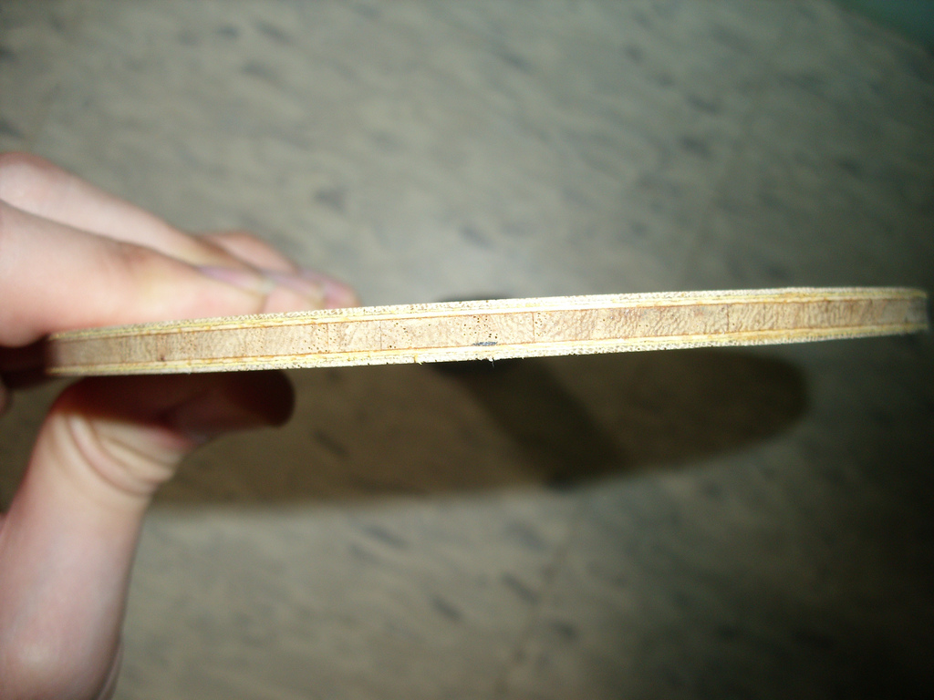 [ѳ]Timo Boll ZLF ST-->qupiterת