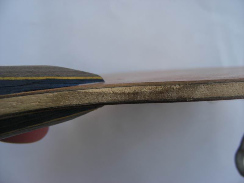 ��һ��������������ľ����ֱ��480Ԫ����ŷ������ֱ��310Ԫ