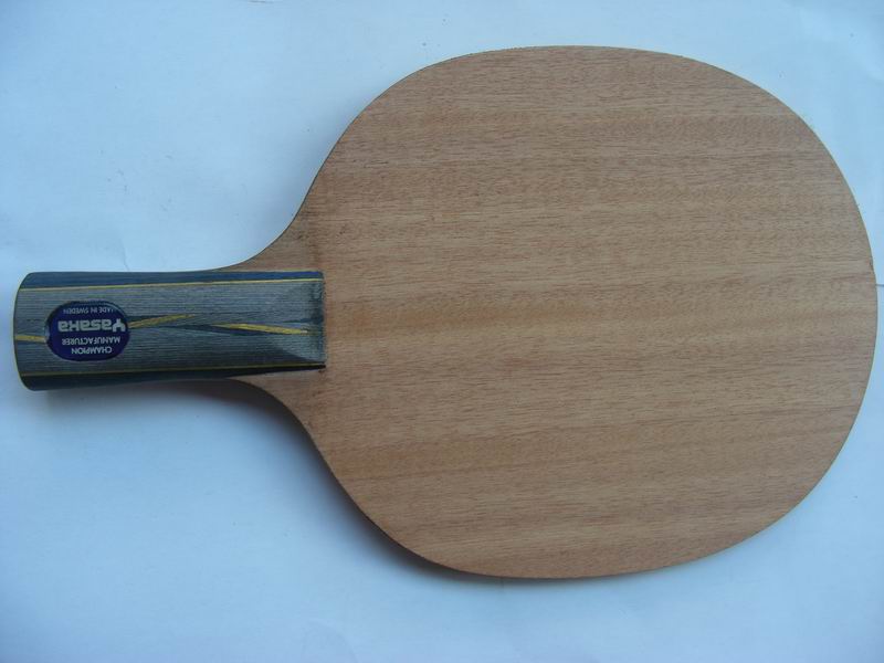 ��һ��������������ľ����ֱ��480Ԫ����ŷ������ֱ��310Ԫ