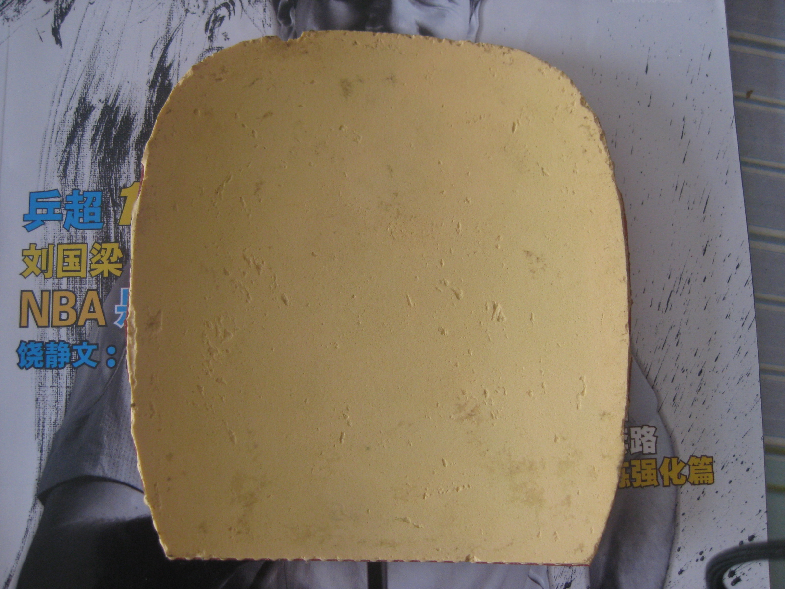 ��[ԭ��]�����ѳ�������ֱ��Ƥ��t05��donic vario��ʡ���2��388b-1