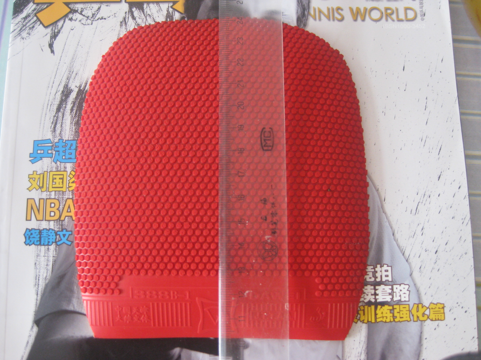 ��[ԭ��]�����ѳ�������ֱ��Ƥ��t05��donic vario��ʡ���2��388b-1