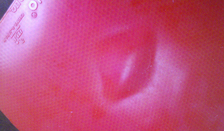 PALIO��ֻ������ͷ��ˣ���������������