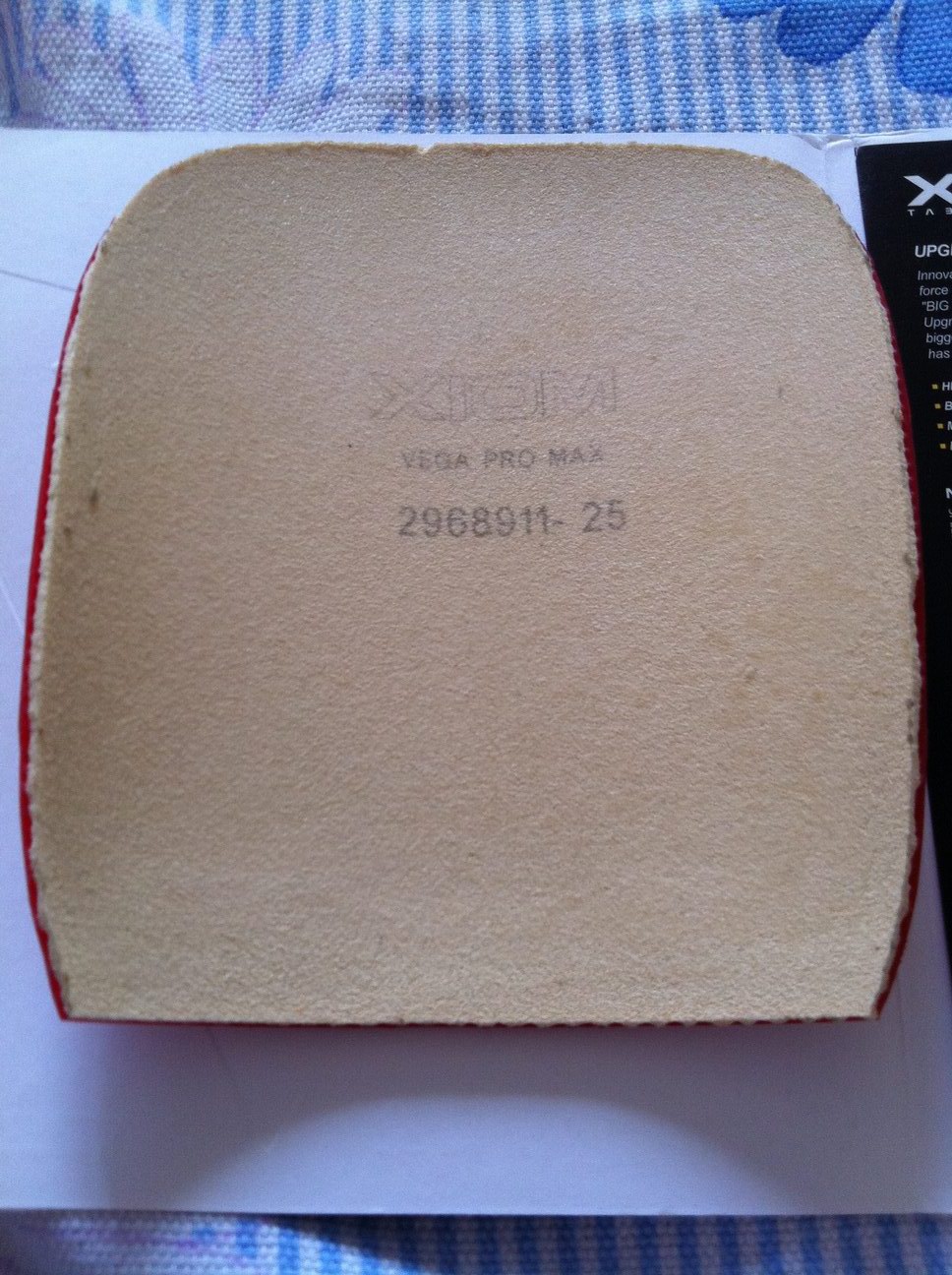 ��ֱ���� Ψ������ XIOM �� V  ����ɫ�� +  �̿�