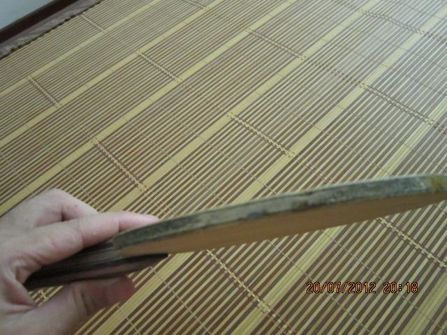 ���� �Ϻ������� ���Ļ����