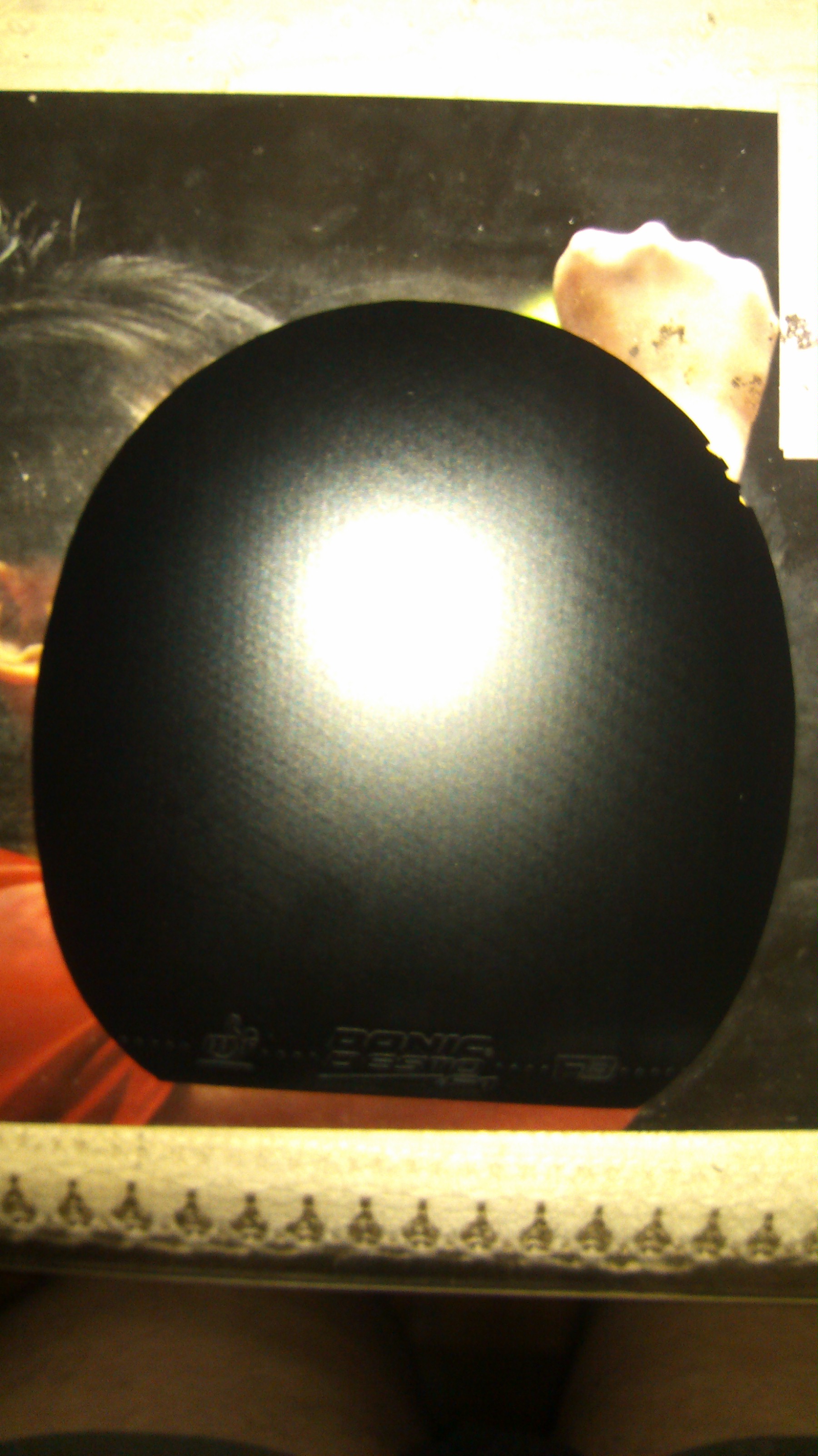 ������ST��������ħ��̼�ʡ�������ǡ����������S1.����F1 ��Ӳ�����������߽�������������÷�ȣ��ż̿ơ�VIS