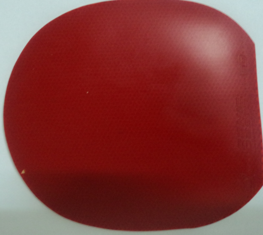 ���Ŷ����