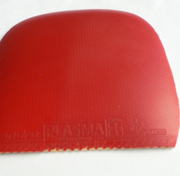 ���˶����׽���ֱ����