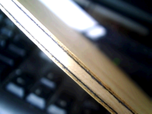 ���ѳ�ͦ����̼���ֽ���̼��ST����С��һ�����޲���������������������400��˳�ᣬ���������֧��������