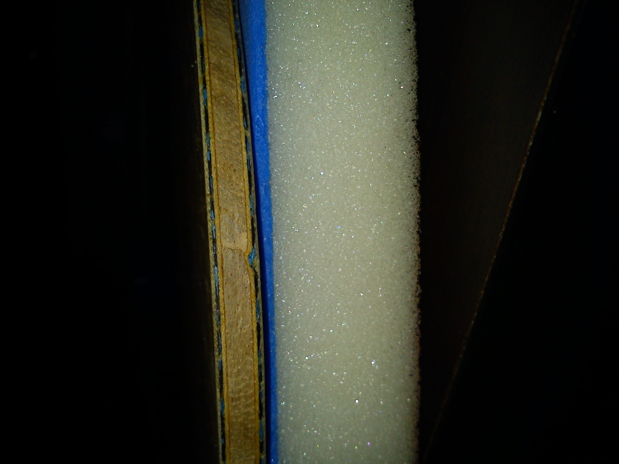 ���㶫����ϲ����������