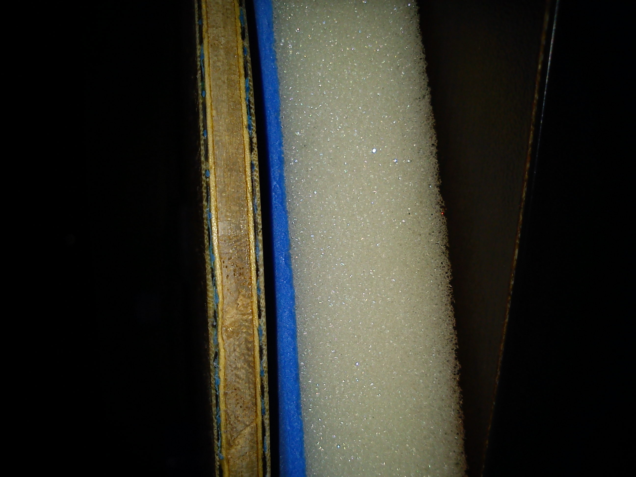 ���㶫����ϲ����������