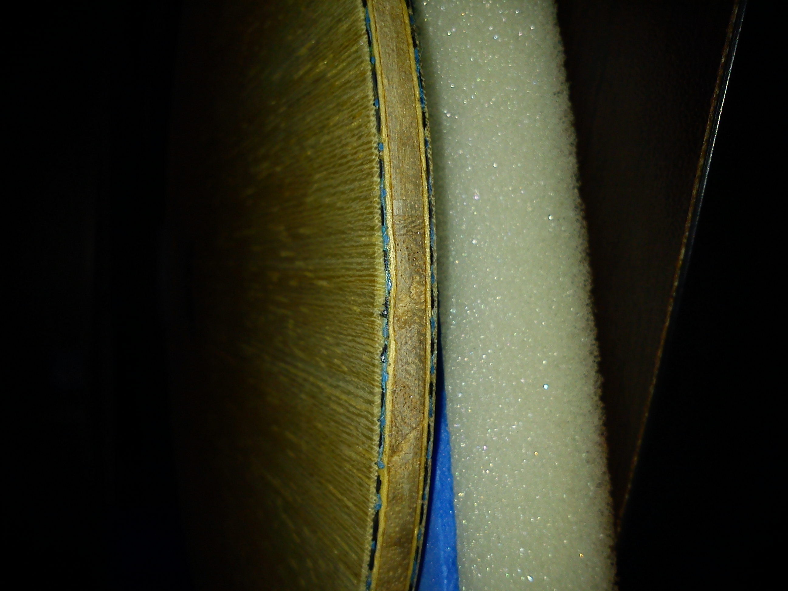 ���㶫����ϲ����������