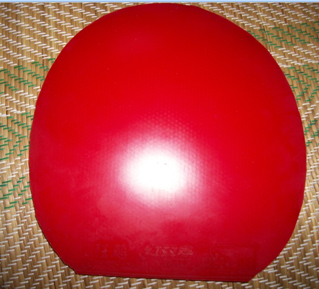 �����655�����׽�