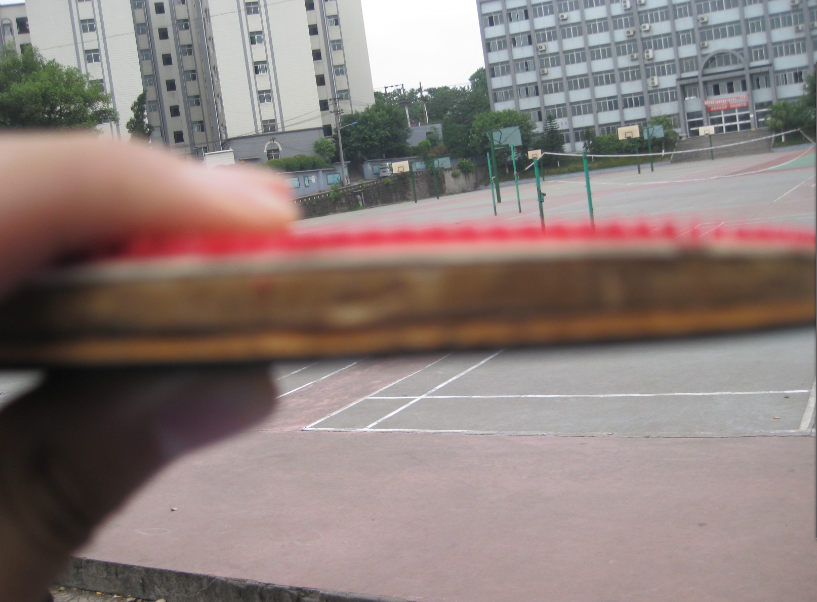 ���ѳ���]���������ְ�٣ţϣ���쭣�������������