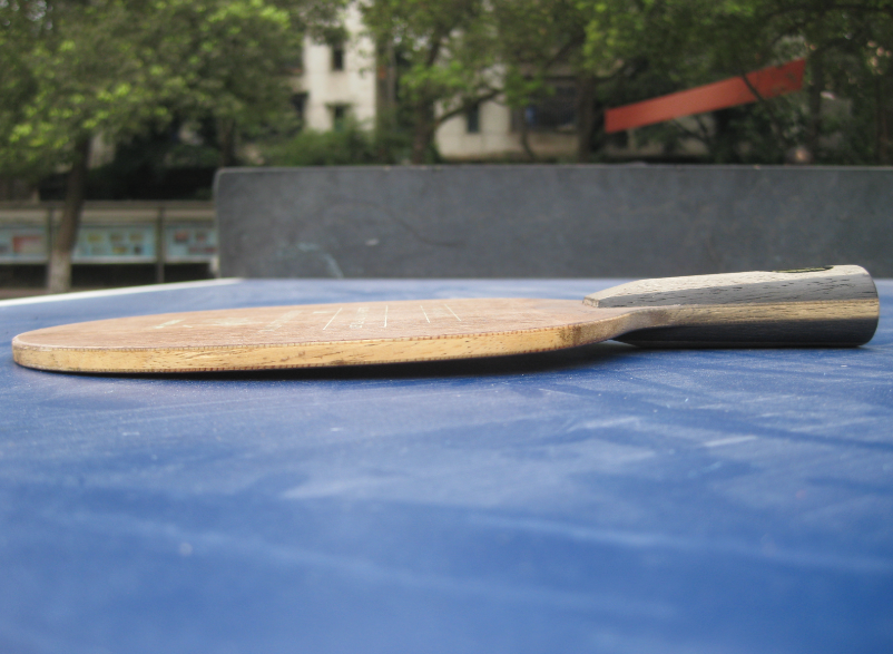 ���ѳ���]���������ְ�٣ţϣ���쭣�������������