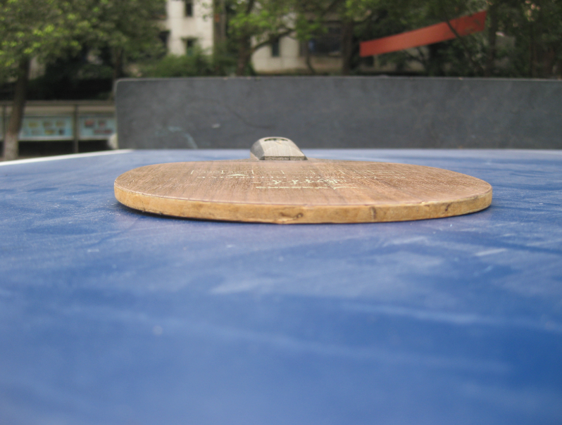 ���ѳ���]���������ְ�٣ţϣ���쭣�������������