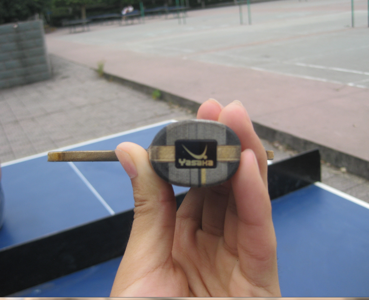 ���ѳ���]���������ְ�٣ţϣ���쭣�������������