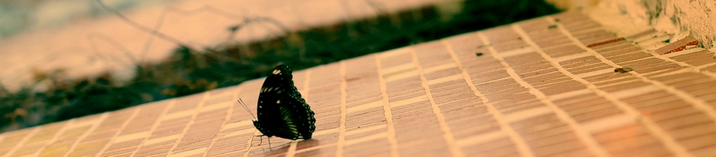 �³���Ψ���й��������Թ�û��