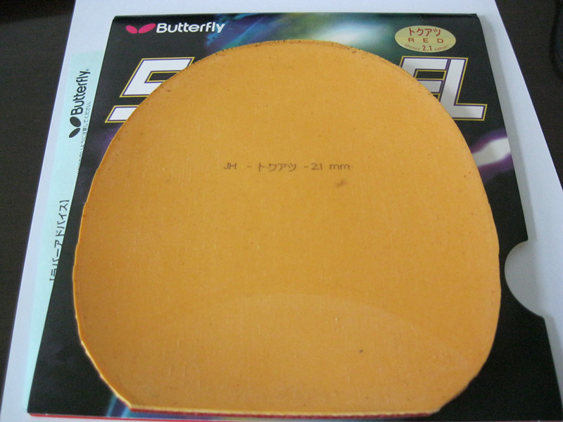 VIS����ʡ��39�ں���EL��