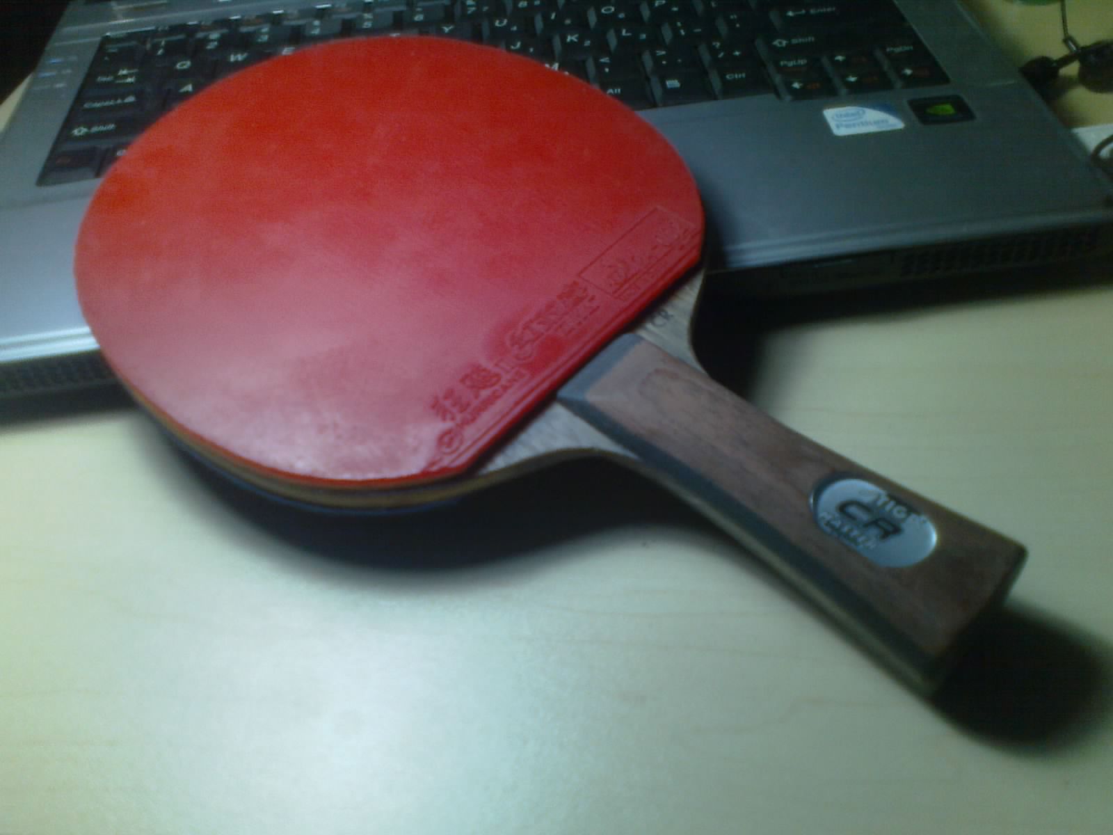 ����Stiga OC-CR + ��Ƥ