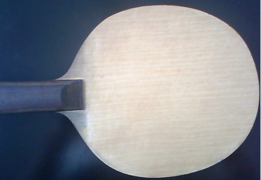 �����������λ��֤��