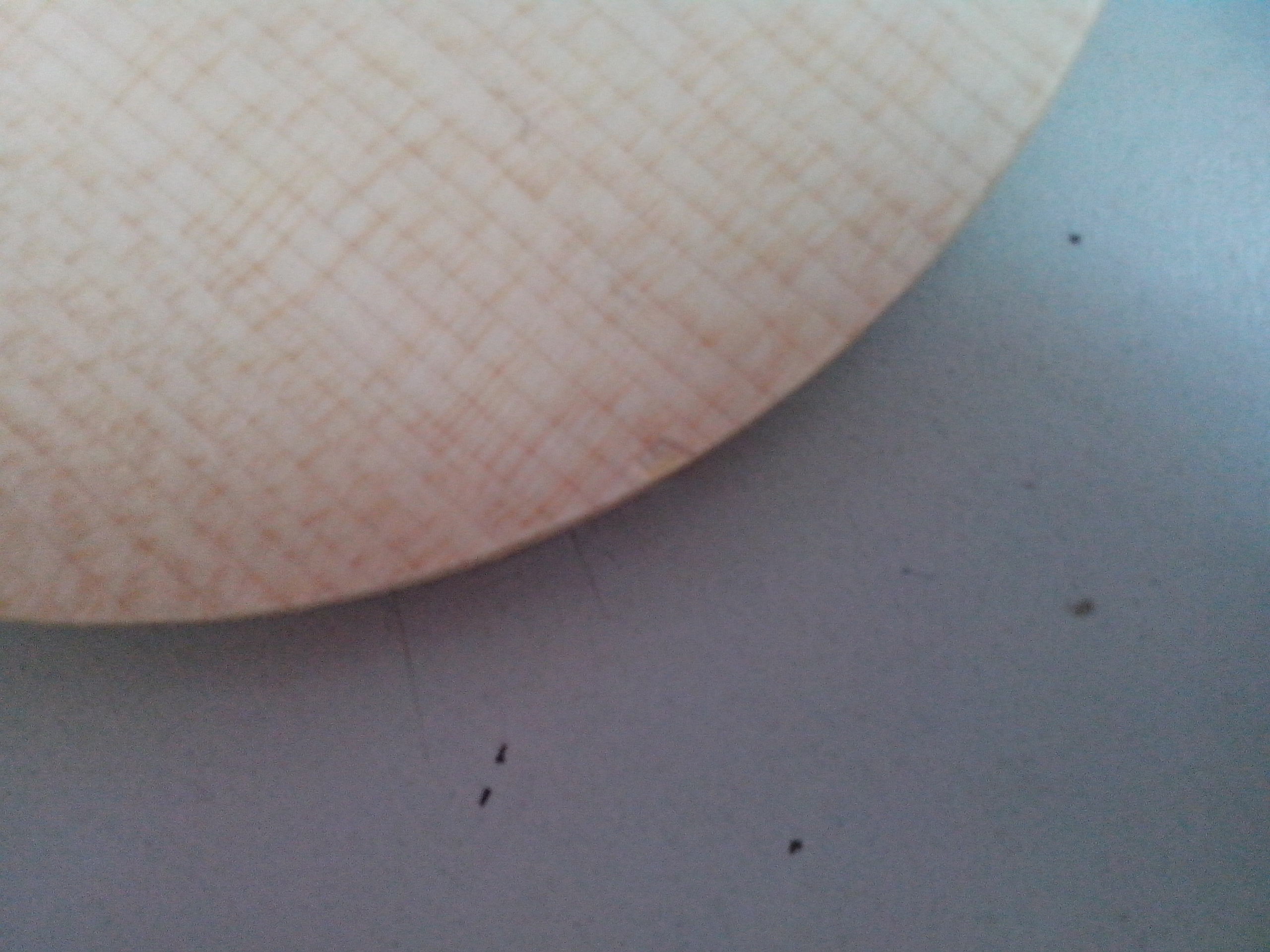 �����������λ��֤��